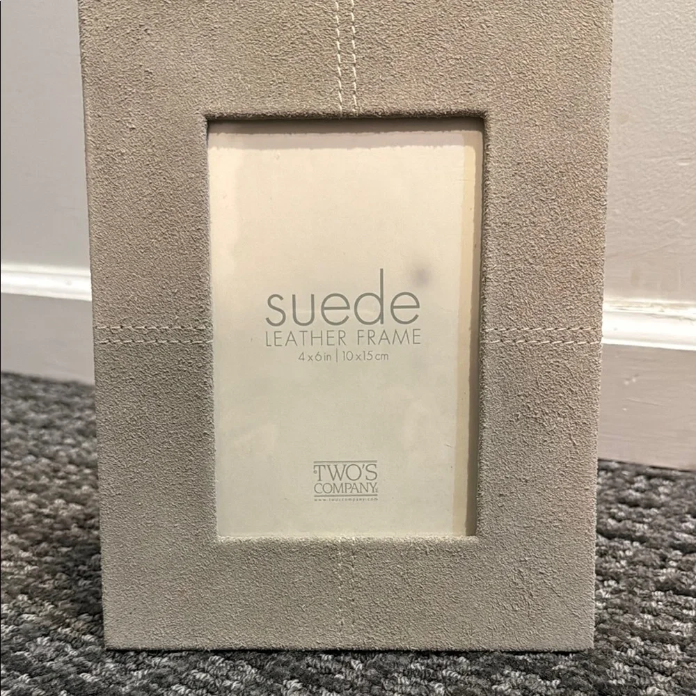 Two's Company Gray Suede Leather 4x6 Frame